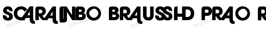 Scribo Brush Pro Reg字体转换
